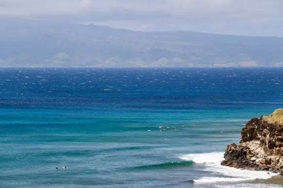 Casino Two Fat Ladies Bingo Stuðningur